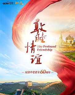敦睦情谊 海报