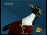 新闻袋袋裤 新闻袋袋裤 2010年 第1期