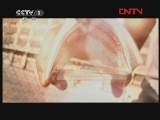 国际艺苑 《国际艺苑》 20120127