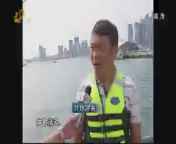 山东新闻联播 《山东新闻联播》 20140818