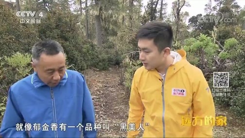远方的家 《远方的家》 系列节目《大好河山》——秘境之踪 美在深山幽谷间 20190807