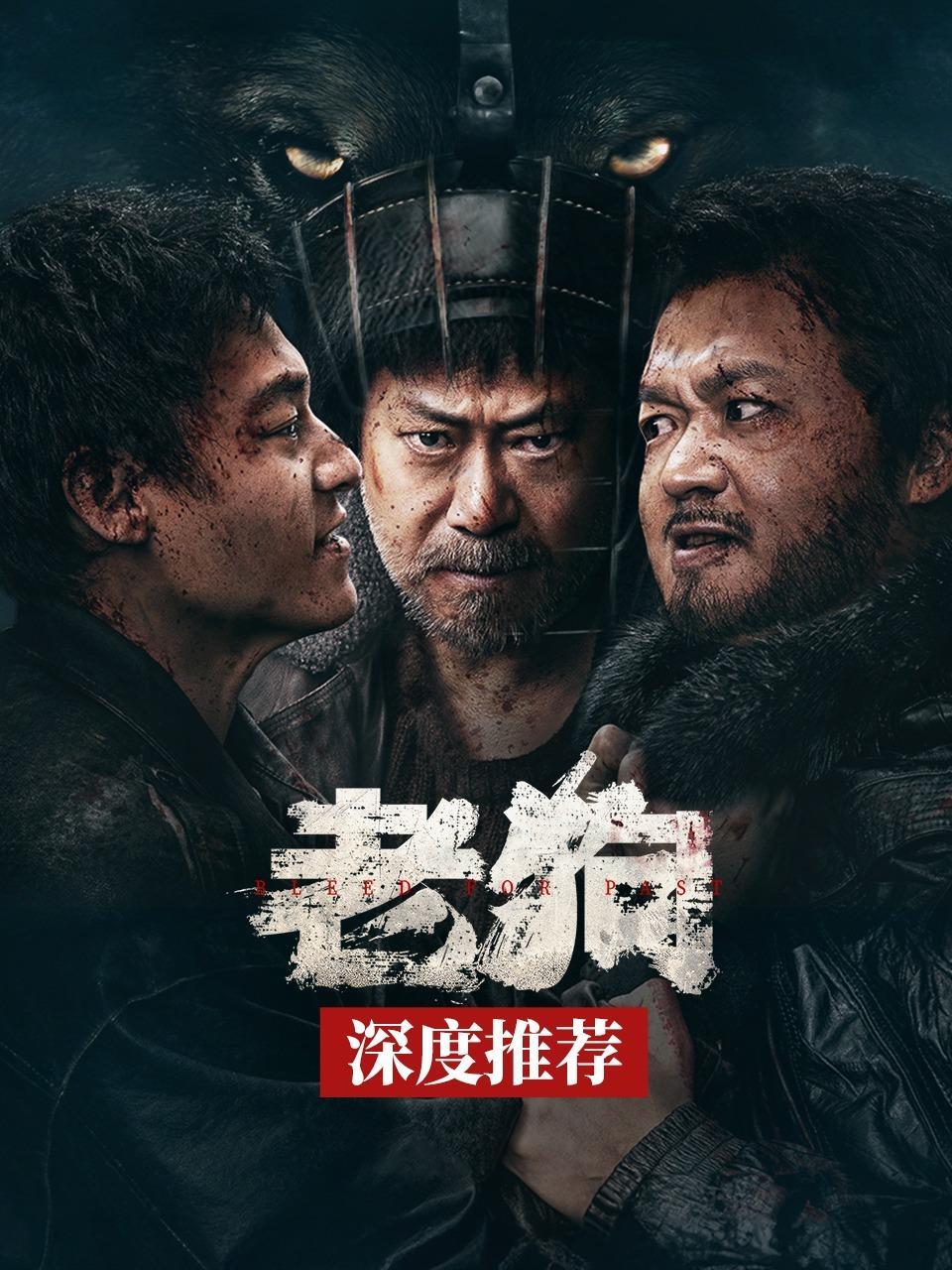 《老狗》深度推荐