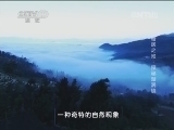 地理中国 《地理中国》 20140304 奇居之地-探秘漩涡镇