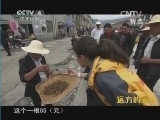 远方的家 《远方的家》 20140816 边疆行（43） 藏南明珠——加查