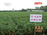 县域经济报道 《县域经济报道》 20111116