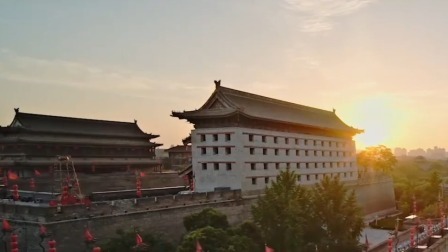 跟着总书记探寻文化根魂