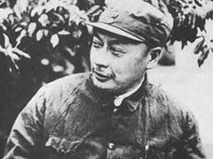经典传奇 大案揭秘：暗杀陈毅内幕