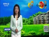 小区大事 《小区大事》 20170417 叔叔的遗产