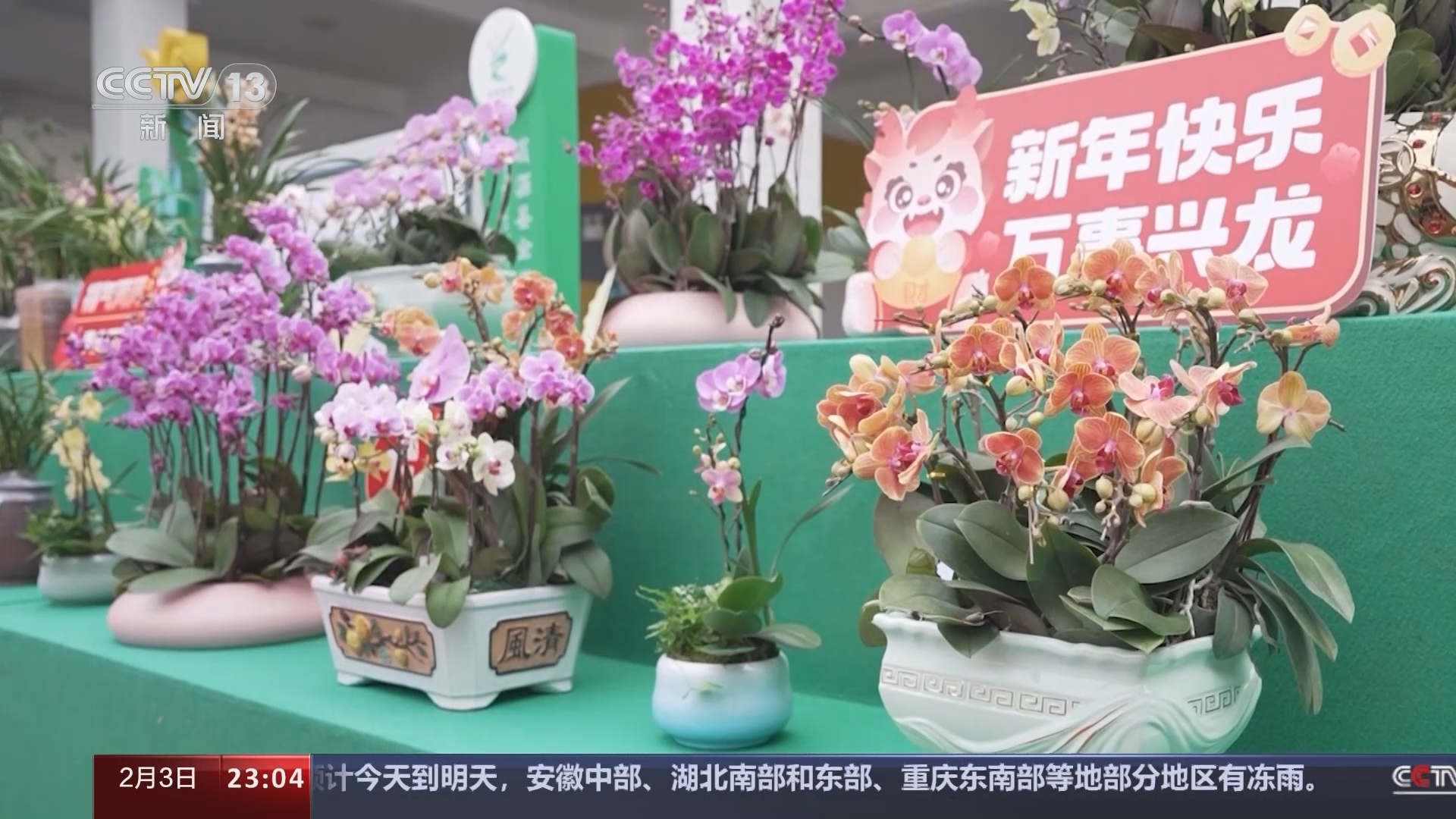 新闻周刊 《新闻周刊》 20240203