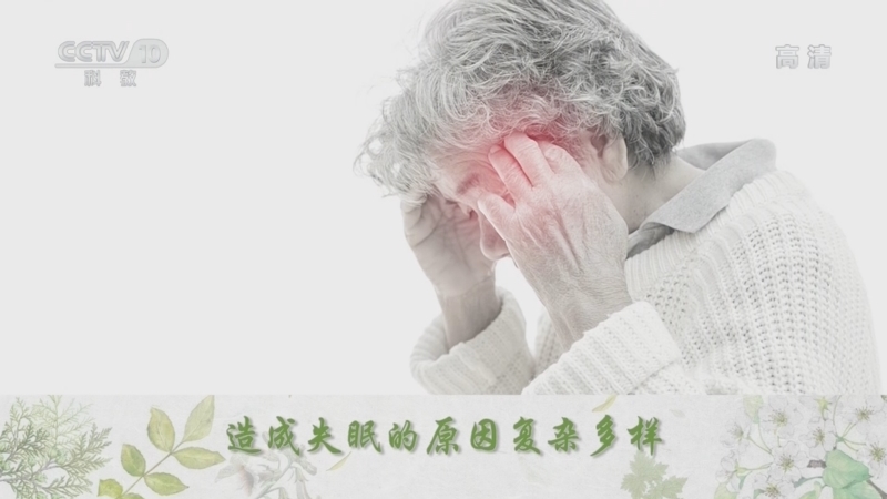 百家讲坛 《百家讲坛》 20220812 传奇古方 20 镇心安神朱砂安神丸