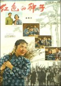 红色的种子 海报