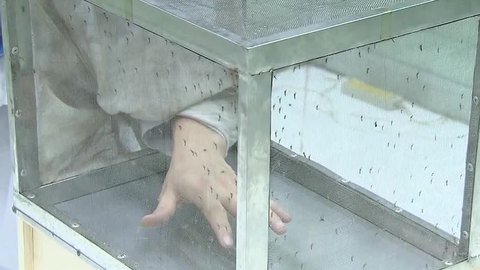 播报多看点 夏季驱蚊大揭秘
