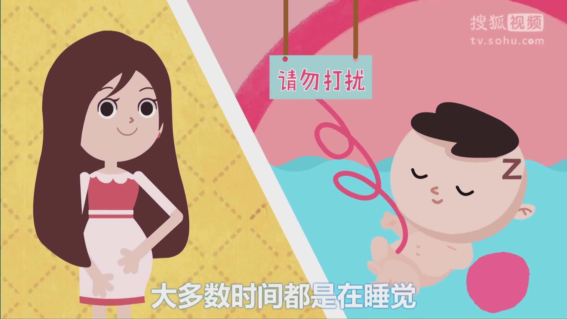 别对妈说谎 【别对妈说谎】06 真相揭秘！胎教真的越早越好吗？