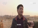 我爱发明 《我爱发明》 20170401 捡拾大力士