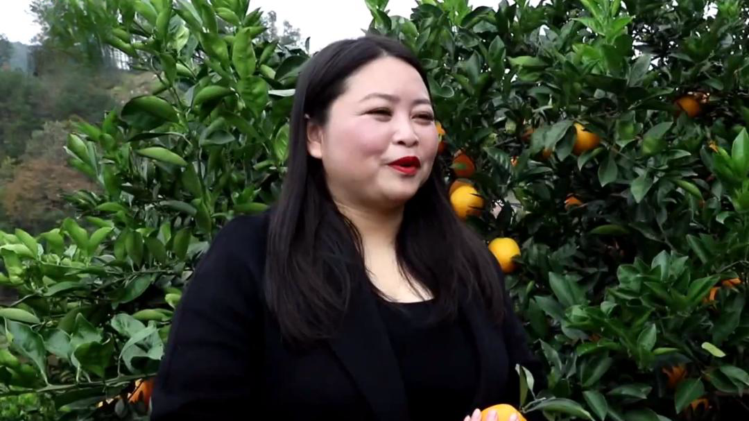 社会传真 一颗脐橙串起的“甜蜜事业”