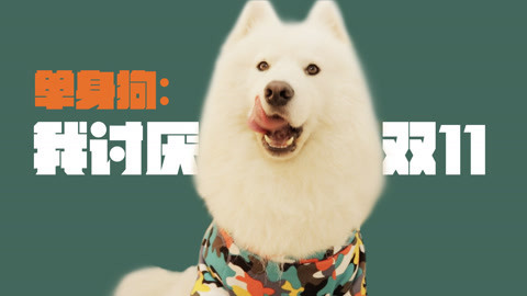 真正的单身狗吐槽双11