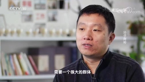 走近科学 《走近科学》 20190124 分子育种