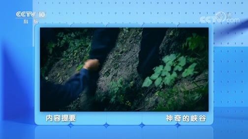 地理中国 《地理·中国》 20200414 神奇的峡谷