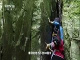 地理中国 《地理中国》 20180101 山水溯名·神奇的溪