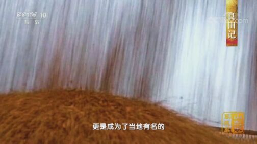 中国影像方志 《中国影像方志》 第618集 山东禹城篇