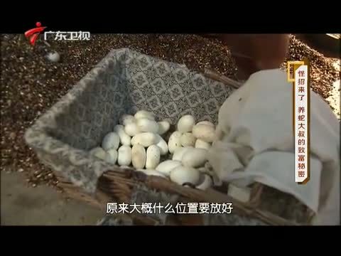 凡人大爱 《凡人大爱》 20140609 怪招来了 养蛇大叔的致富秘密