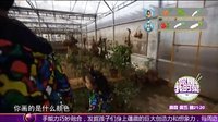 你是我的菜 你是我的菜 151203