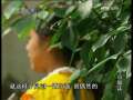今日说法 今日说法 2009年 第80期