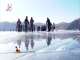 全省新闻联播 《全省新闻联播》 20160213