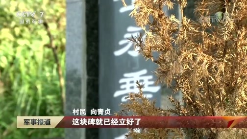 军事报道 《军事报道》 20191213