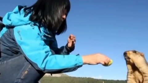 经典传奇 奇鱼能听懂人话？ 神山究竟有多少秘密