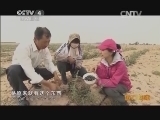 远方的家 特别节目 铁骨柔情的西北汉子《远方的家》 20140422