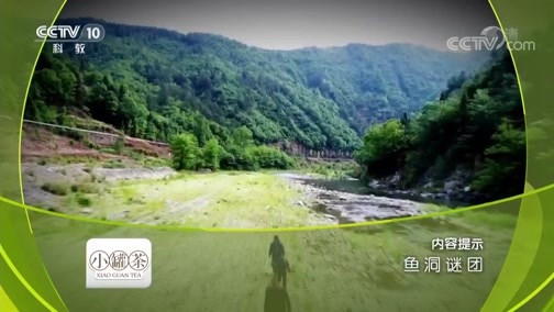 地理中国 《地理中国》 20190227 鱼洞谜团