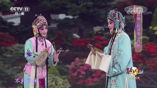 青春戏苑 《青春戏苑》 20200609 京韵芬芳