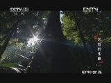 动物世界 《动物世界》 20121220 怒放的生命（二）