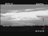 动物世界 《动物世界》 20131026 最后的母狮（上）