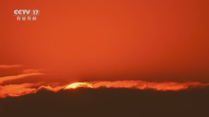 《乡理乡亲》 20251026 医生来了！霜降养生健康行