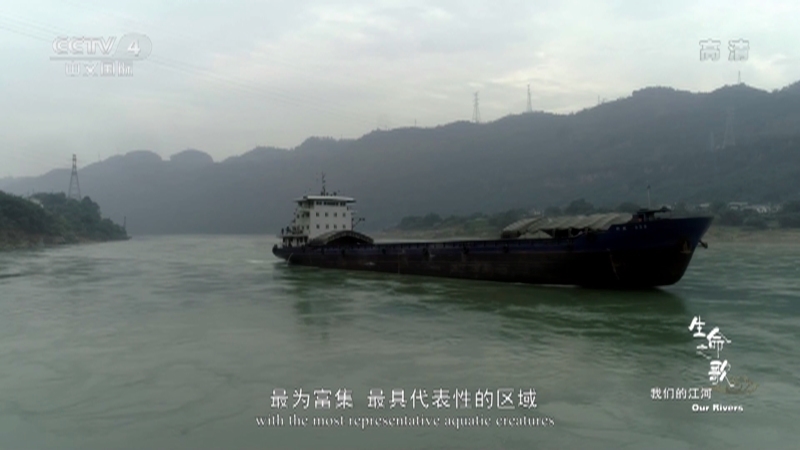 《生命之歌》 第2集 我们的江河