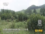 远方的家 《远方的家》 长城内外 第3集 长城脚下是故乡 20150930