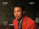 焦点访谈 《焦点访谈》 20160410 乡土中国农村系列调查：羊舍为啥空了