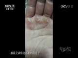 军事纪实 《军事纪实》 20170517 连长突围赛（上）
