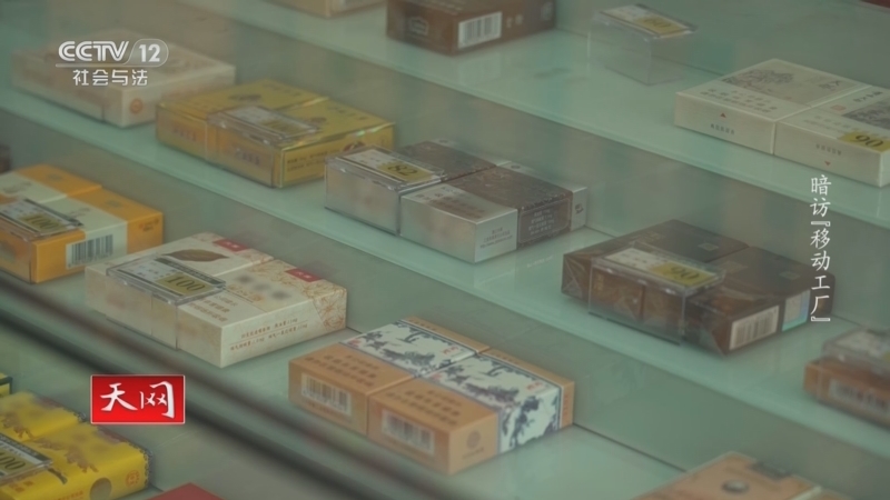 天网 《天网》 20230818 暗访“移动工厂”