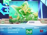 大王小王 《大王小王》 20150402 61岁 我的花样年华