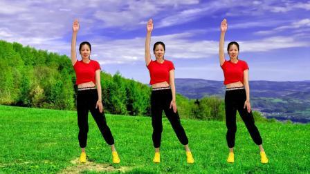 中老年瘦身健身操，简单有效燃脂《妹妹不哭dj》