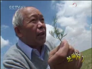芝麻开门【央视】 草原的秘密（三）