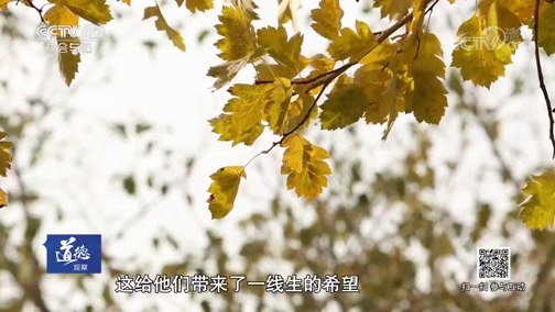 道德观察 《道德观察(日播版)》 20190829 陌生的亲人