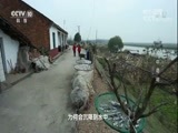 地理中国 《地理中国》 20171205 湖中奇塔