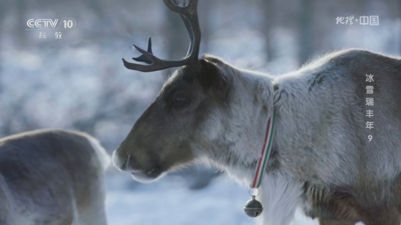 《地理·中国》 20260224 冰雪瑞丰年9
