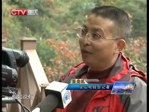 新闻解码 《新闻解码》 20141223 巫山红叶年年“红”