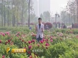 生财有道 《生财有道》 20160328 话说获得感系列：花香风情农家财