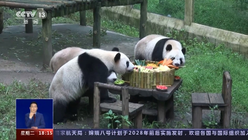 共同关注 《共同关注》 20231003